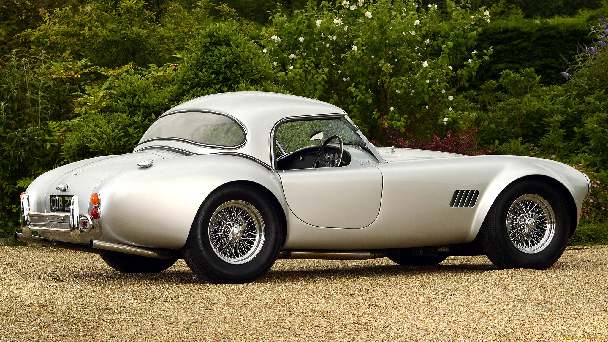 cobra, , ac, shelby, , 